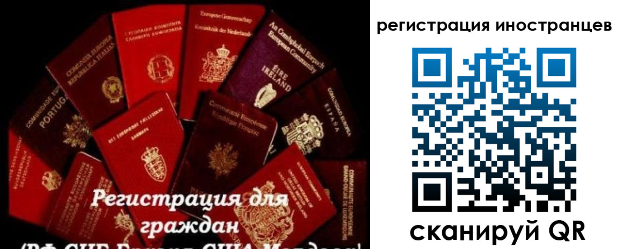 прописка иностранных граждан в Долгопрудном